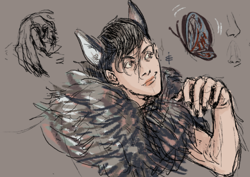 wow i can’t believe i didn’t upload this onei swear wolf frank WILL chase after butterflies while he