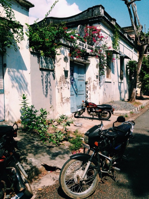 bennetttttt:strolling around Pondicherry, India