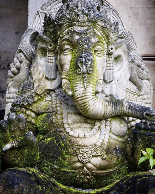 hinducosmos:Lord Ganesha, Bali Indonesia (via Instagram: journeyofacompass)