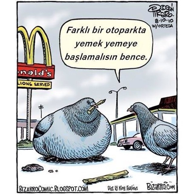 Güvercin Yemek