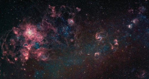The Large Magellanic Cloud Photographed by Eddie Trimarchi js