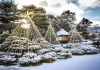 city-cost:Any Japanese garden fans out there?  This one is a beauty.This is Oyakuen