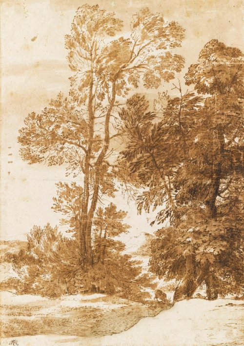 Claude Gellée, dit le Lorrain (Français, 1600 ou 1604/1605 – 1682), Étude d’arbres, vers 1635, encre