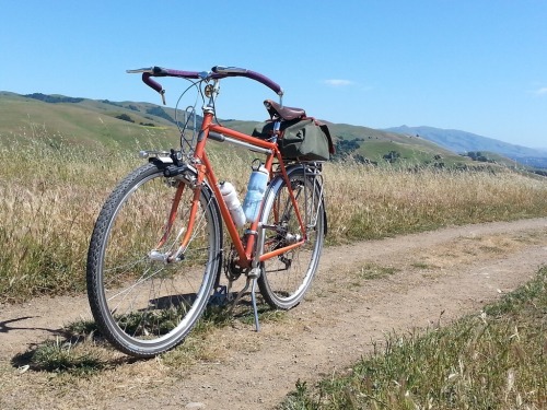 therubbishbin: Dry Creek Park