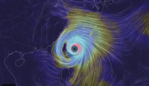 This is a screenshot of the global wind map available at nuschool.net taken just before I wrote this