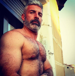 Hairy on Holiday