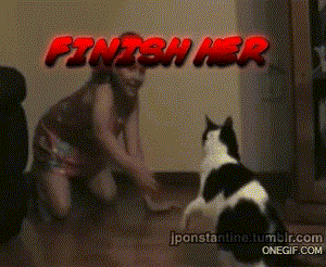 Porn Pics El gato violento xd