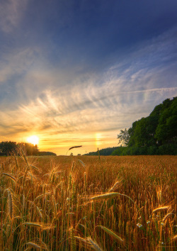 breathtakingdestinations:  Shelburne Farms