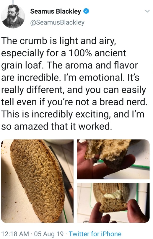 redrook:brunhiddensmusings:sassytail:vympr:Scientist bakes sourdough bread with yeast derived from 4500 year old Egyptian pottery i’m losing my mind @ this thread……historie……also please note that this scientist is in