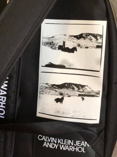 chromet:Calvin Klein by Raf Simons Andy Warhol SS19 Horses backpackAvailable HERE on grailed