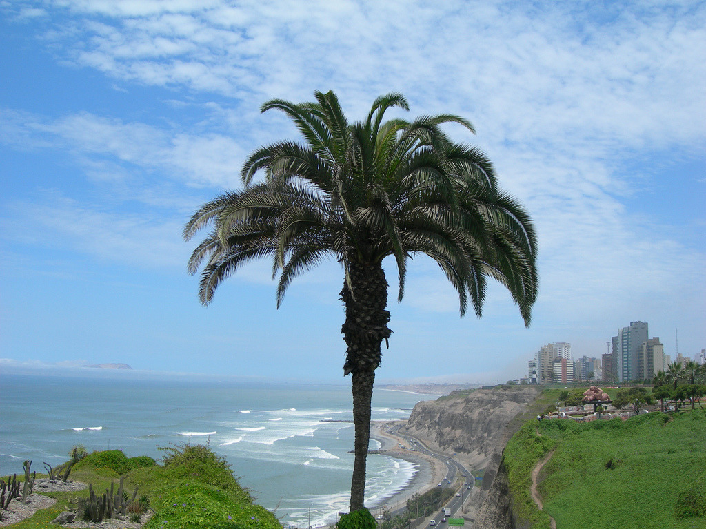 maarksavage:   	Lima by Larry Leonard    	