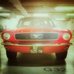 siiidou:  Mustang ! #Ford #Mustang #Legend