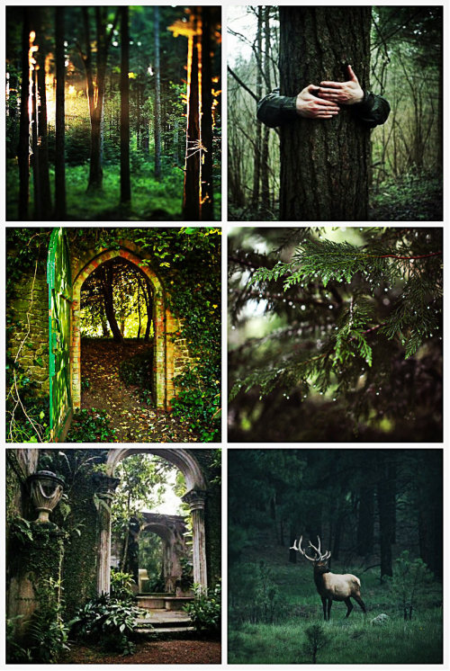 stormwaterwitch:Druid Aestheticrequested by @heirophant-jack All pictures found on Weheartit (X/X/X/