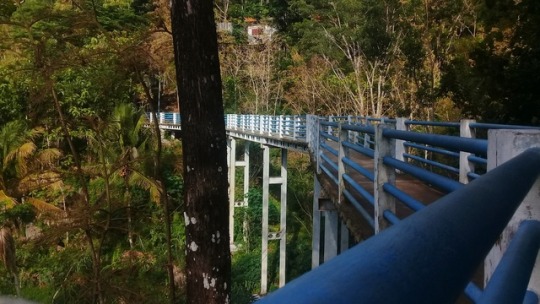 Pada tahun 1851 dibangun jembatan gantung yang sudah sangat maju, jembatan tersebut bernama jembatan