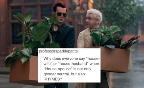 Crowley and Aziraphale walk down the street, each is holding a box full of Crowley's houseplants and looking towards the other + text from user professorsparklepants that reads "why does everyone say 'house-wife' or 'house husband' when 'house-spouse' is not only gender-neutral, but also RHYMES"