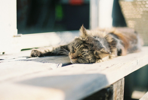 closings:  Nikon FE2 // Fuji PRO 400 by tududuri on Flickr. 