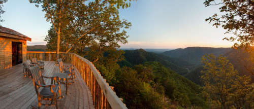 luxuryaccommodations: Tree Houses at Primland Part of a spectacular Blue Ridge Mountain resort, the Tree Houses at Primland immerse guests in the area’s magnificent natural beauty while providing first-class amenities such as flat-screen TVs, plush