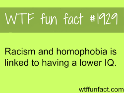 wtf-fun-factss:  Racism and homophobia are