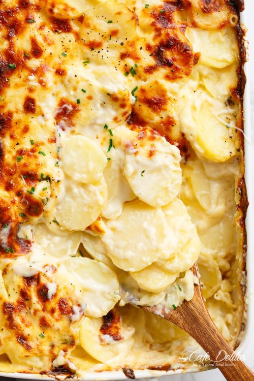 daily-deliciousness: Garlic parmesan scalloped potatoes