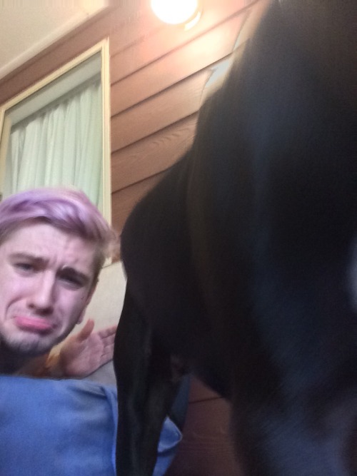 blakeliversage: Trying to take selfies with your animals This is real shit right here that everyone 