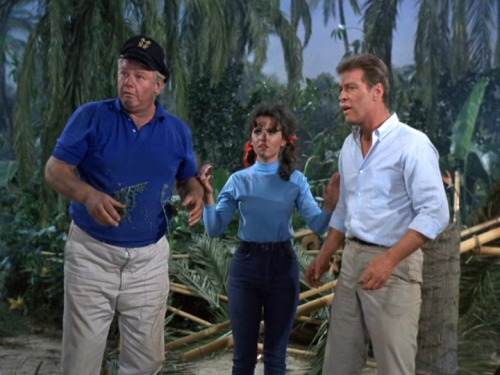 charliecgood:  First of a two-part post. Stills from Gilligan’s Island, which I watched some months ago (every last episode and the three made-for-TV movies that followed, a proud achievement for me). The Skipper’s bulge is ever present and so I thought