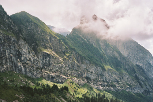 Dreamy light on a trail run in the Alps.Portra 160