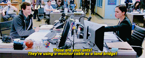 you know i love you donna