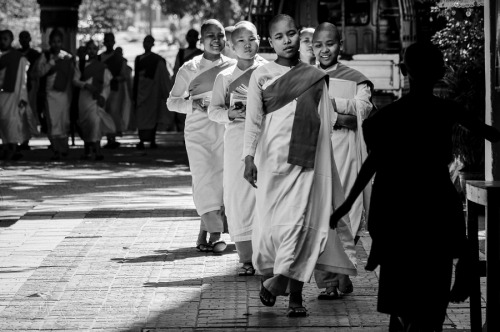 Novice Nuns