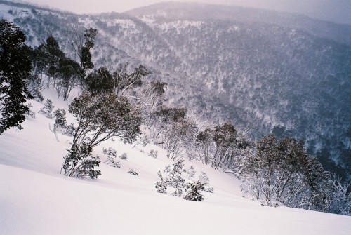 mthotham