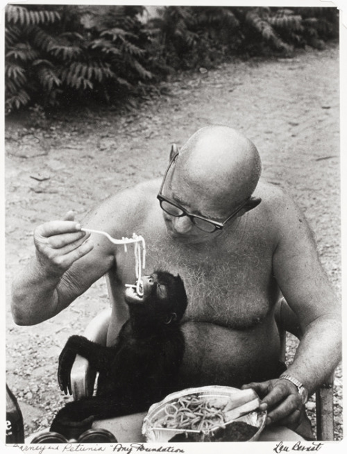hushaby:  Eight Monkeys for the Lunar New Year | Fans in a Flashbulb 