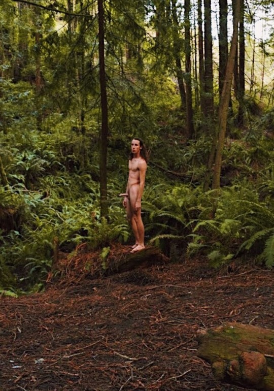 kainsthename:  Focal 🌿