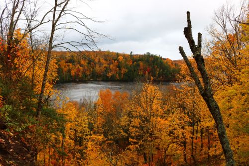 Fall colors in the Upper Peninsula  ig:cora__ruth