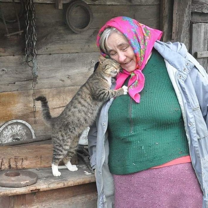 cuteness–overload: Babushka and cat Submit your cute pet here | Source ...