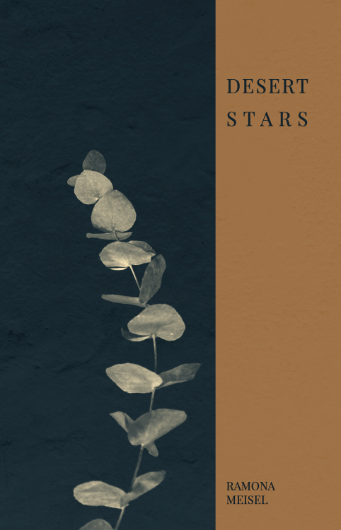 With over 80 chapters containing unique poetic prose, Desert Stars tells the story of two Egyptian b