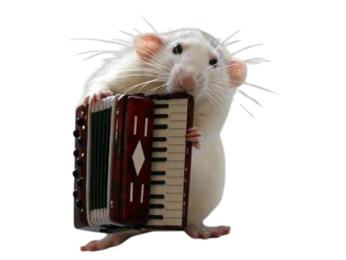 snailspng: Rat orchestra PNGs