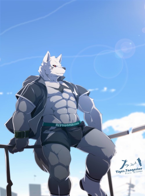 uhlalah:  雷亚【律】 | 阿川阿虎  http://www.pixiv.net/member_illust.php?mode=medium&illust_id=56339140