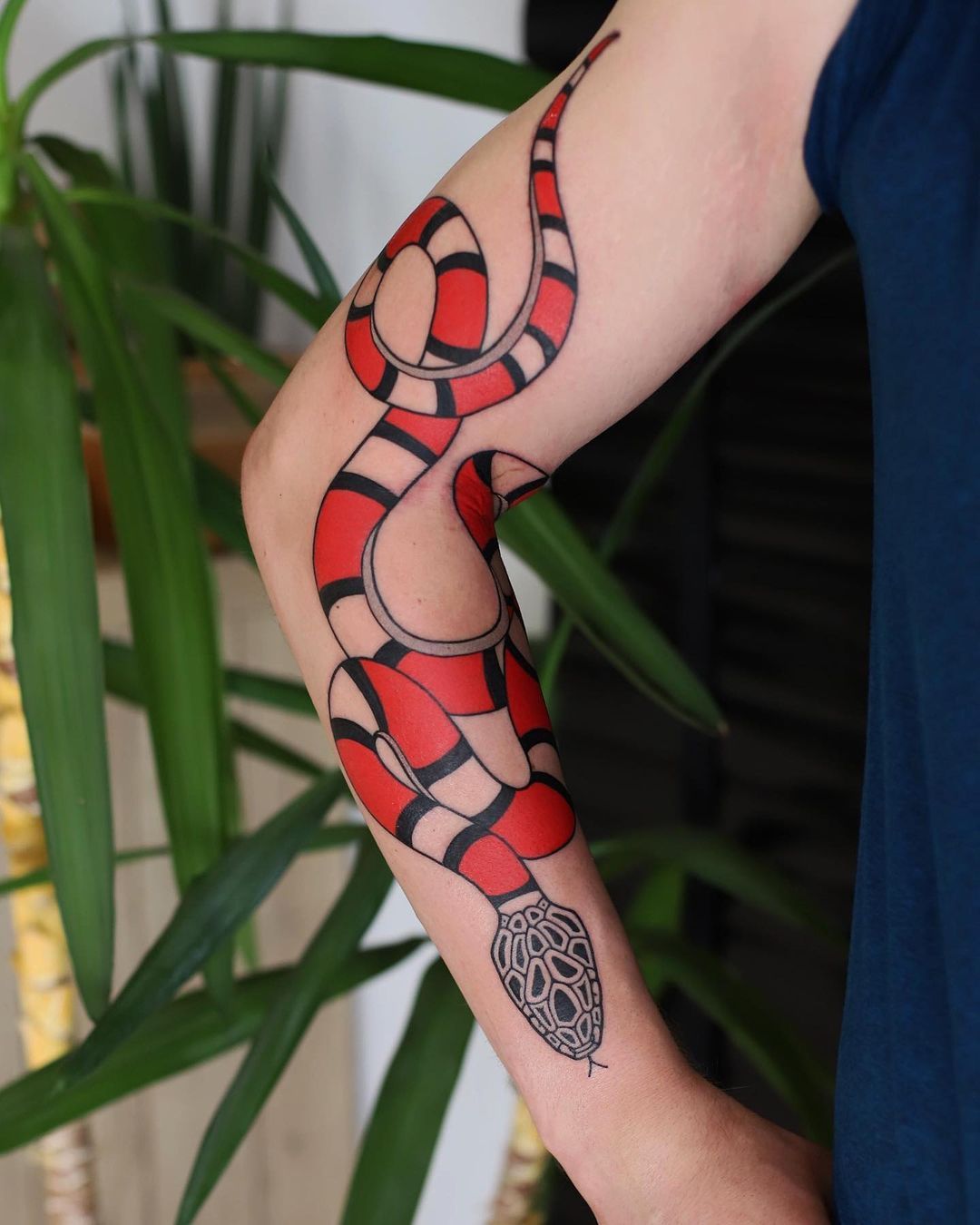 Top 14 Coral Snake Tattoo Ideas  PetPress  Snake tattoo Coral tattoo Coral  snake