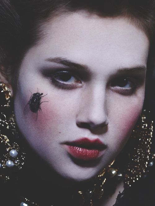 somethingvain:
“ anais pouliot by herring & herring for fit for print #1 march 2013
”