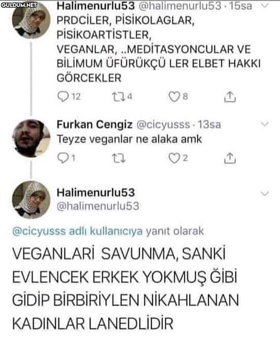 Halimenurlu53...