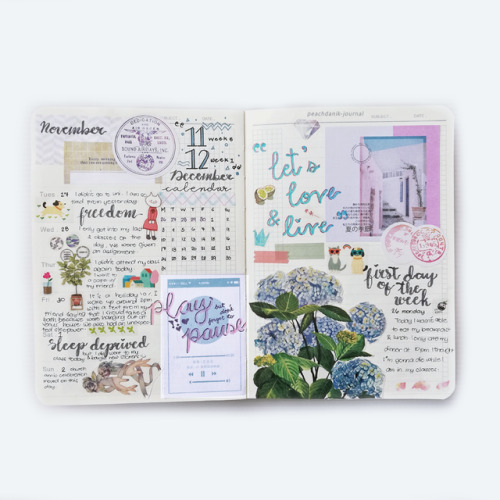 peachdanik-journal: It’s almost the end of the year. Do you have a 2019 journal already?  bujo