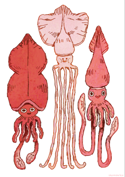 salamispots:finally got around to drawing some big squids for redbubble (left to right: colossa