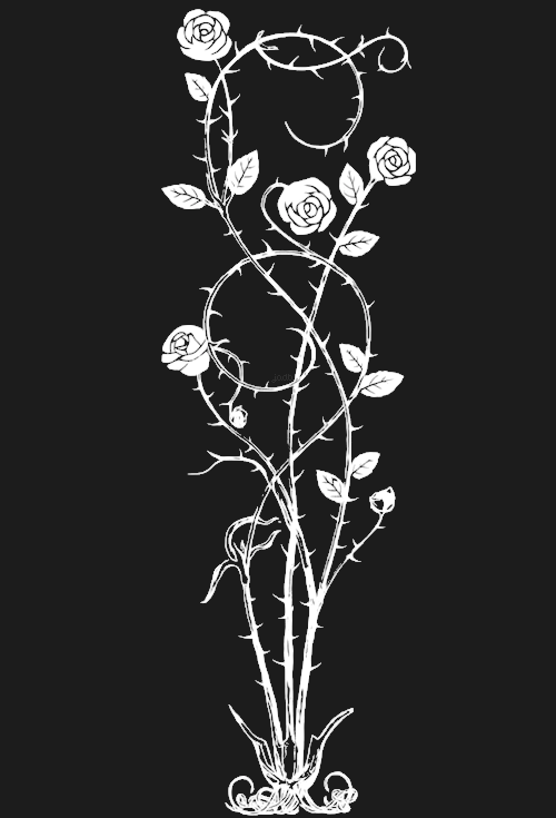 🌙