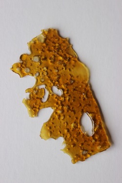 smokepotwithme:  happy shatter day 