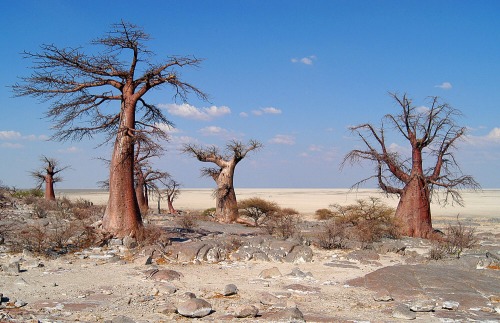 Makgadikgadi Pan, Botswana