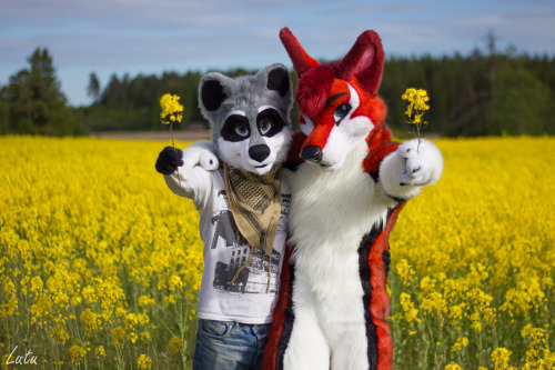 I will defend furries to my grave!