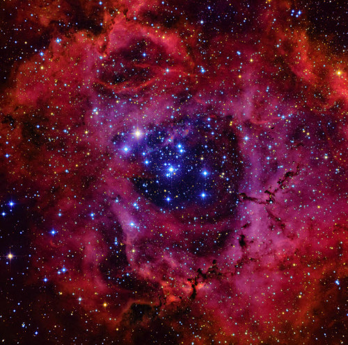 the-wolf-and-moon: NGC 2244, Rosette .