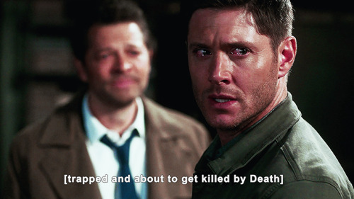 mishasminions: FELLAS, IT’S DESTIEL