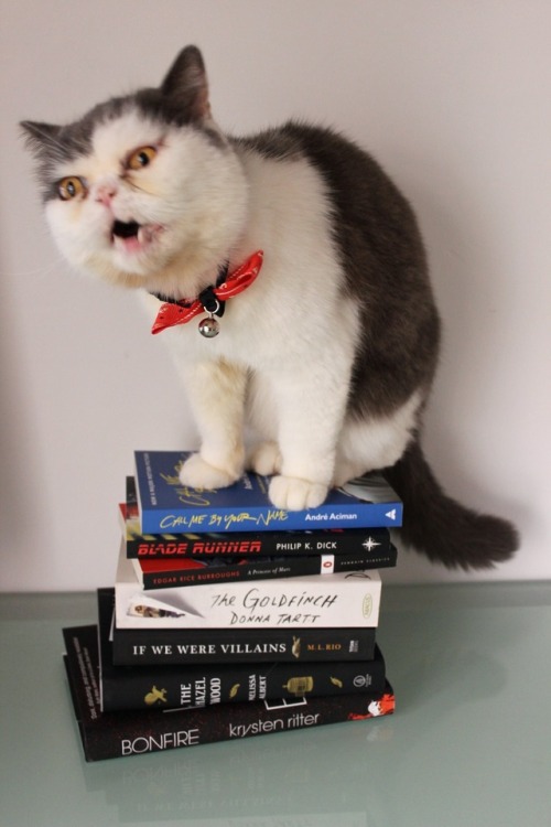 lost-in-books94:I quite like this outtake haha he reminds me of Godzilla or something. Gizmo’s like 