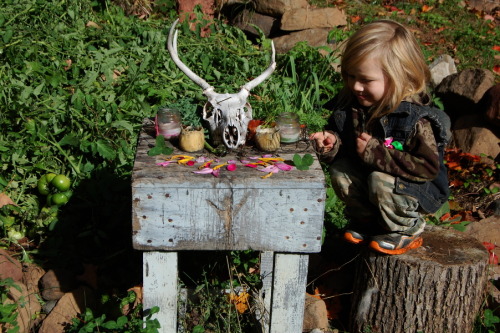 ratfarm:October is here and we are feeling it. Neighbors are starting to use their woodstoves as las