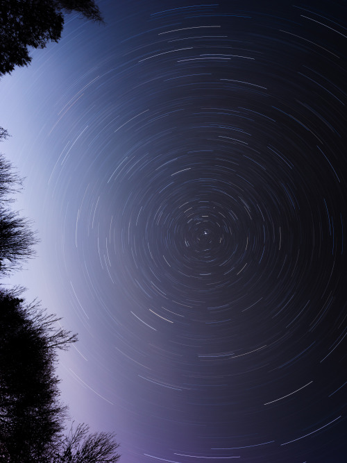 ardley:Earth’s Rotation around the North StarPhotographed by Freddie Ardley - Visit Print Shop